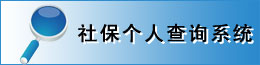 社保個(gè)人查詢系統(tǒng)